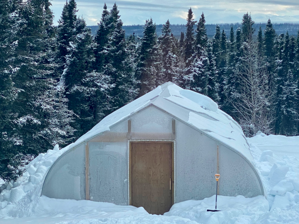 Greenhouse in February