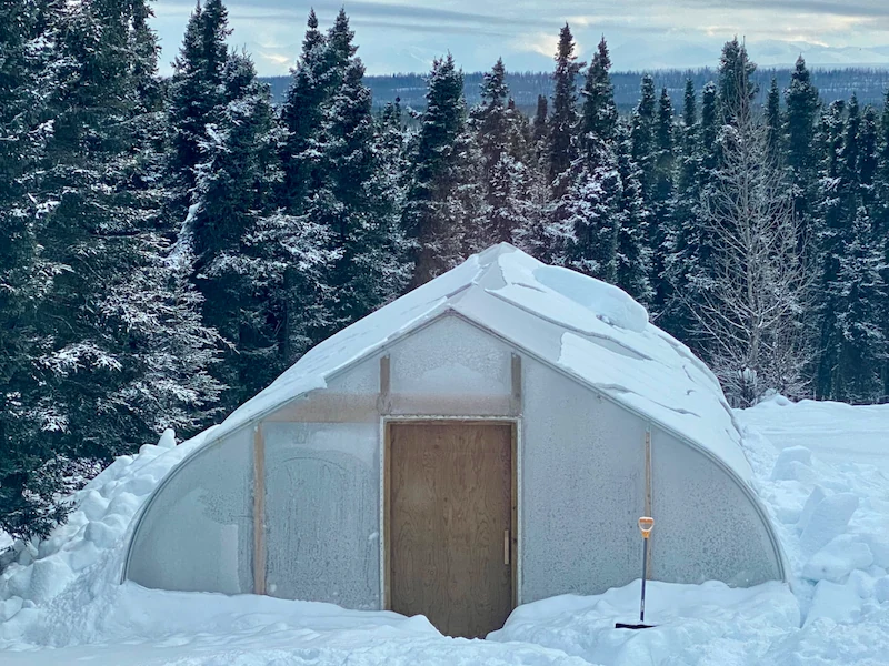 Winter Hightunnel